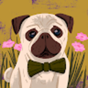 Meet your Posher, Maxime